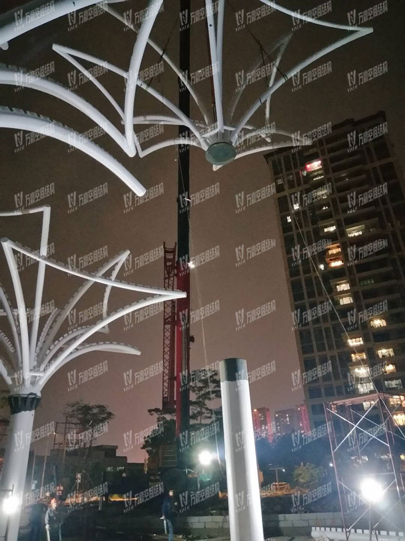 Dongguan Dongjiang West Bank Special-shaped Steel Structure Project