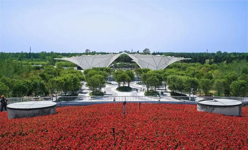 【Case Appreciation】The main entrance membrane structure of Shanghai Flower Expo