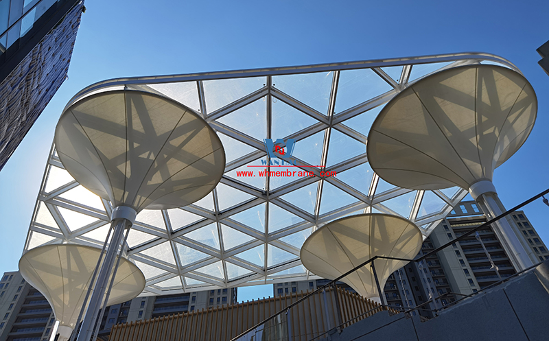 What is ETFE Bubble Film? What are the advantages of ETFE bubble film?cid=23