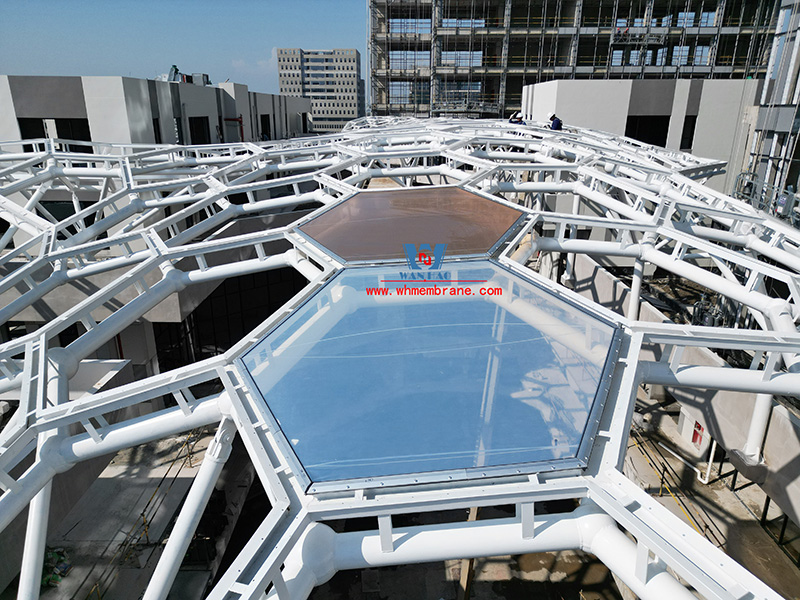 Jiaxing Changan Li ETFE air pillow steel film structure ceiling project