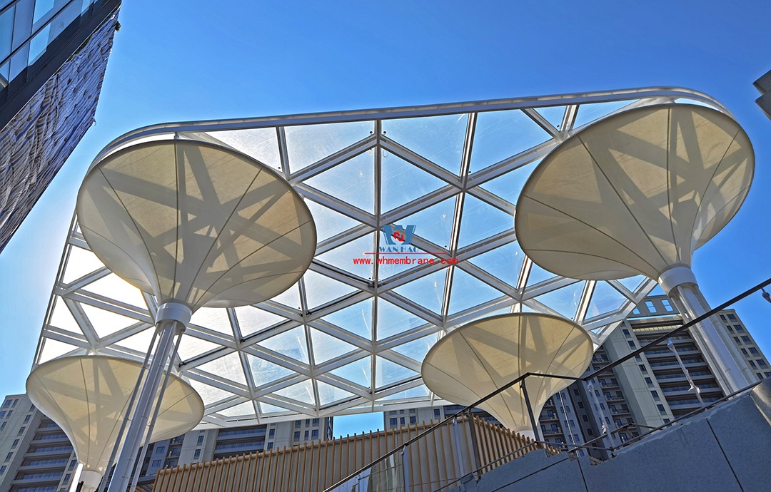 What are the main reasons for the popularity of membrane structure awning?