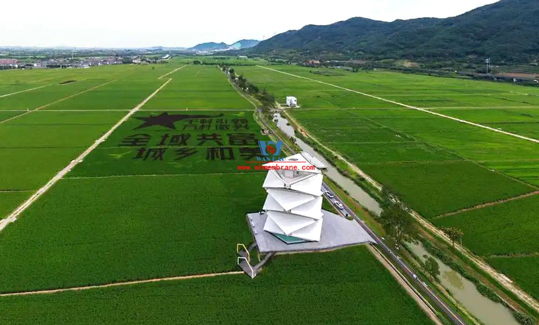 Hazy Wonderland | A lighthouse on a rice field