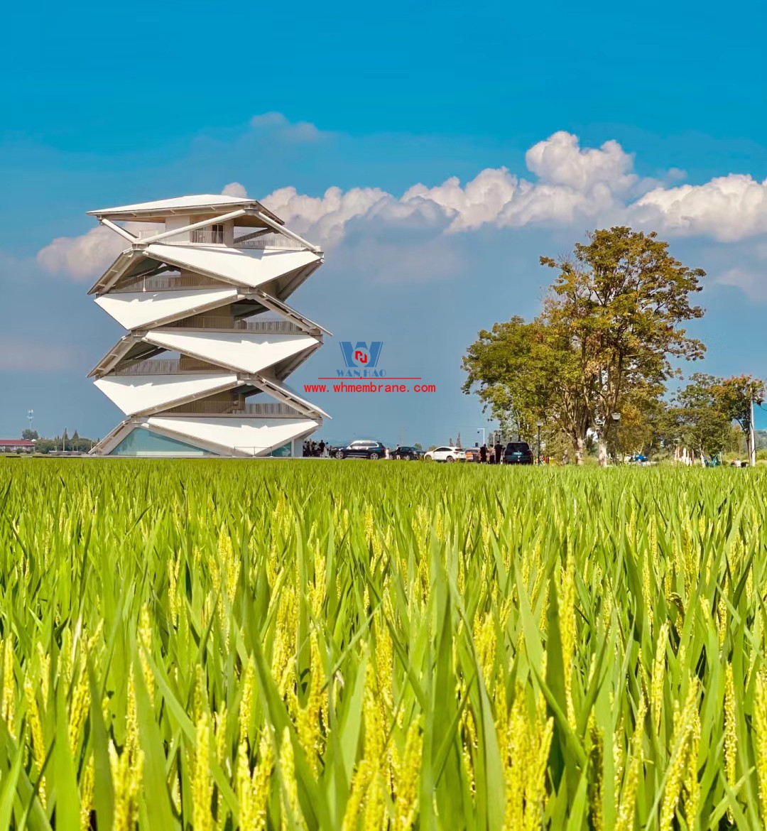 Hazy Wonderland | A lighthouse on a rice field