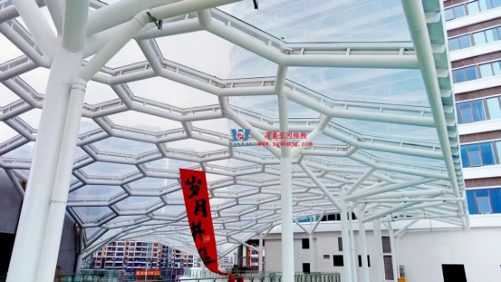 ETFE Air Pillow Membrane Structure Canopy for Maoming Commercial Street ETFE Air Pillow Membrane Structure Canopy for Maoming Commercial Street