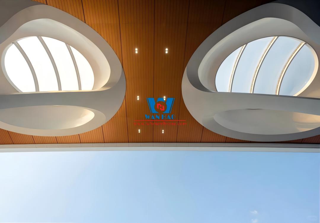 Chongqing East Station Membrane Structure Roof Project