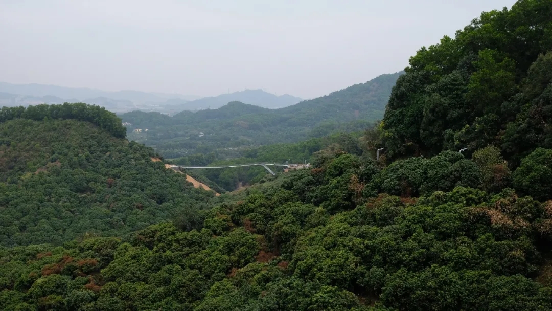 China's first 【Suspension Bridge】