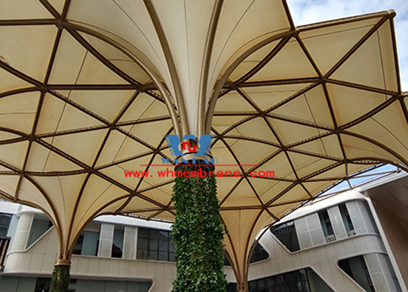 China - ASEAN characteristic commodity convergence center membrane steel structure project