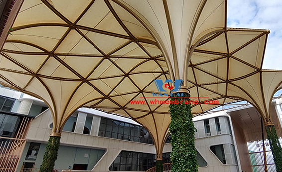 Center film steel construction project of China and ASEAN special products gathering
