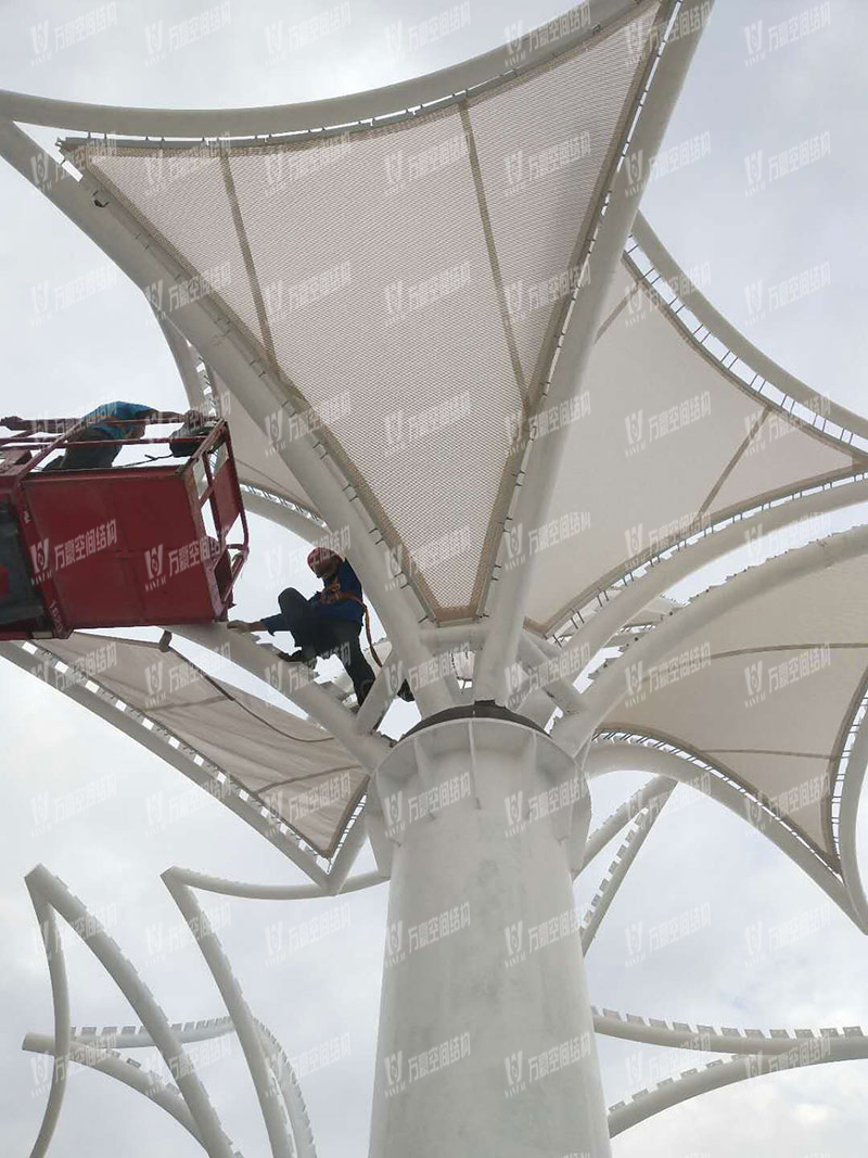 Dongguang Dongjiangxian PTFE Mesh Coating Membrane Structure Project