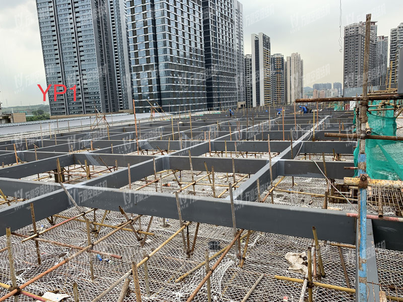 Shenzhen Longhua Subway Station ETFE Roofing Project