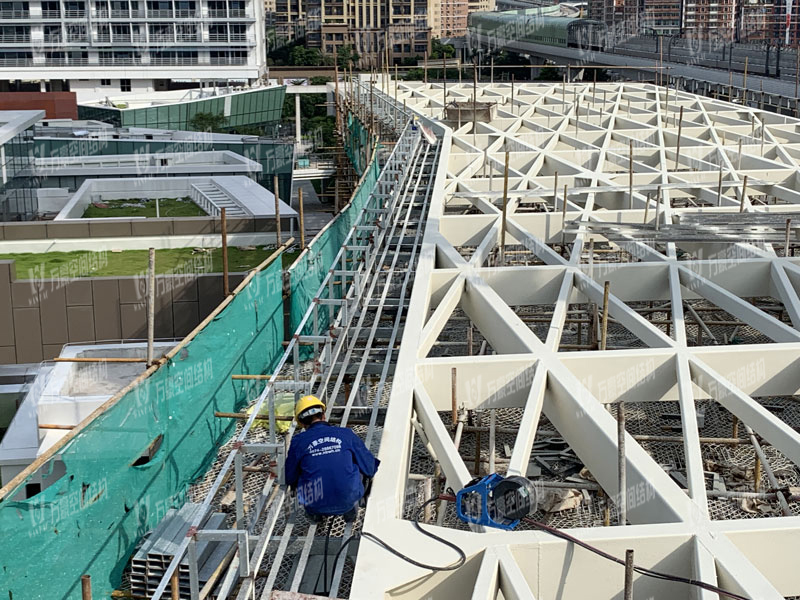 Shenzhen Longhua Subway Station ETFE Roofing Project